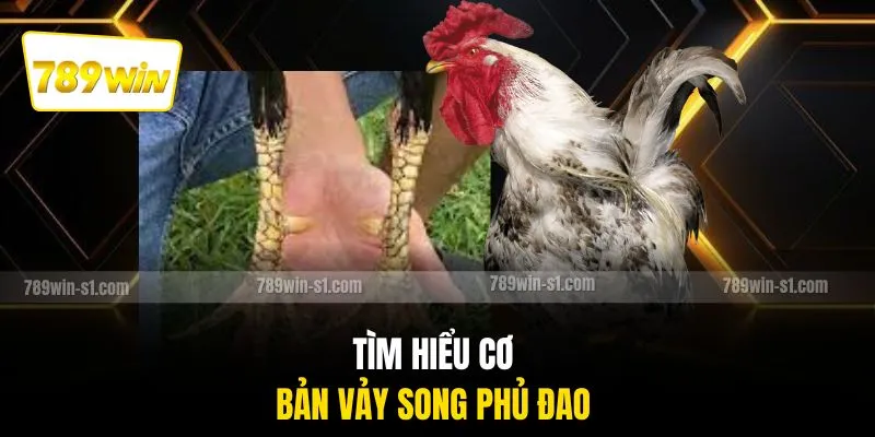 Tìm hiểu cơ bản vảy song phủ đao