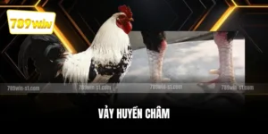 Vảy huyền châm